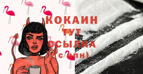 МДПВ Кодинск